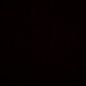 Meet your Posher, Shardae